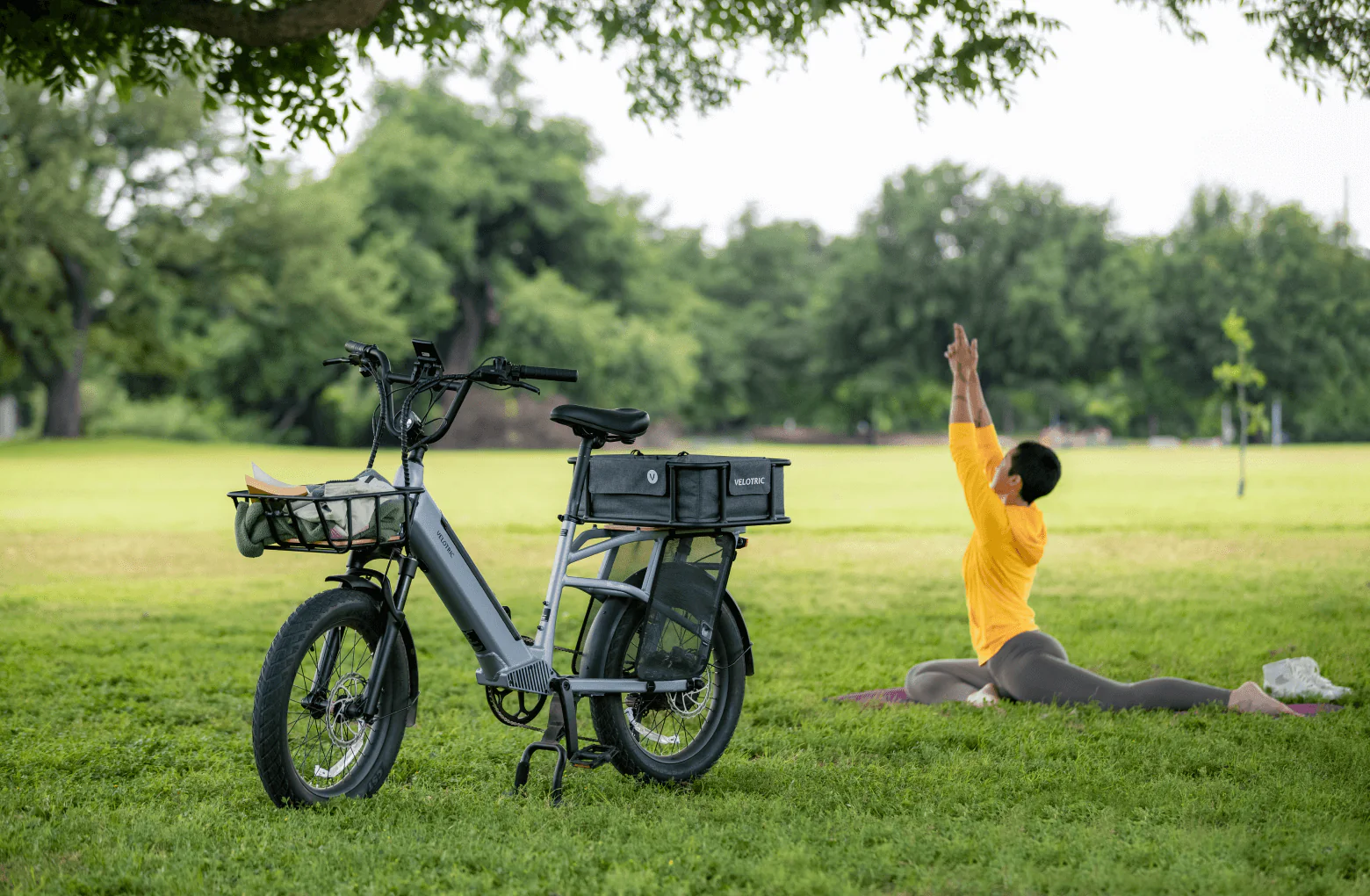 Velotric Go 1 Ebike - Image 21